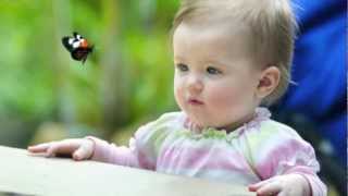 Fountain of Love - Elvis Presley