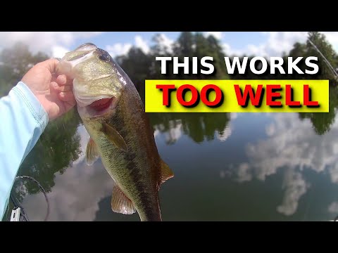 These Senko Tricks Are Just CHEATING!!!!!