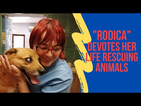The story of a woman who dedicates her life to saving animals ❤️