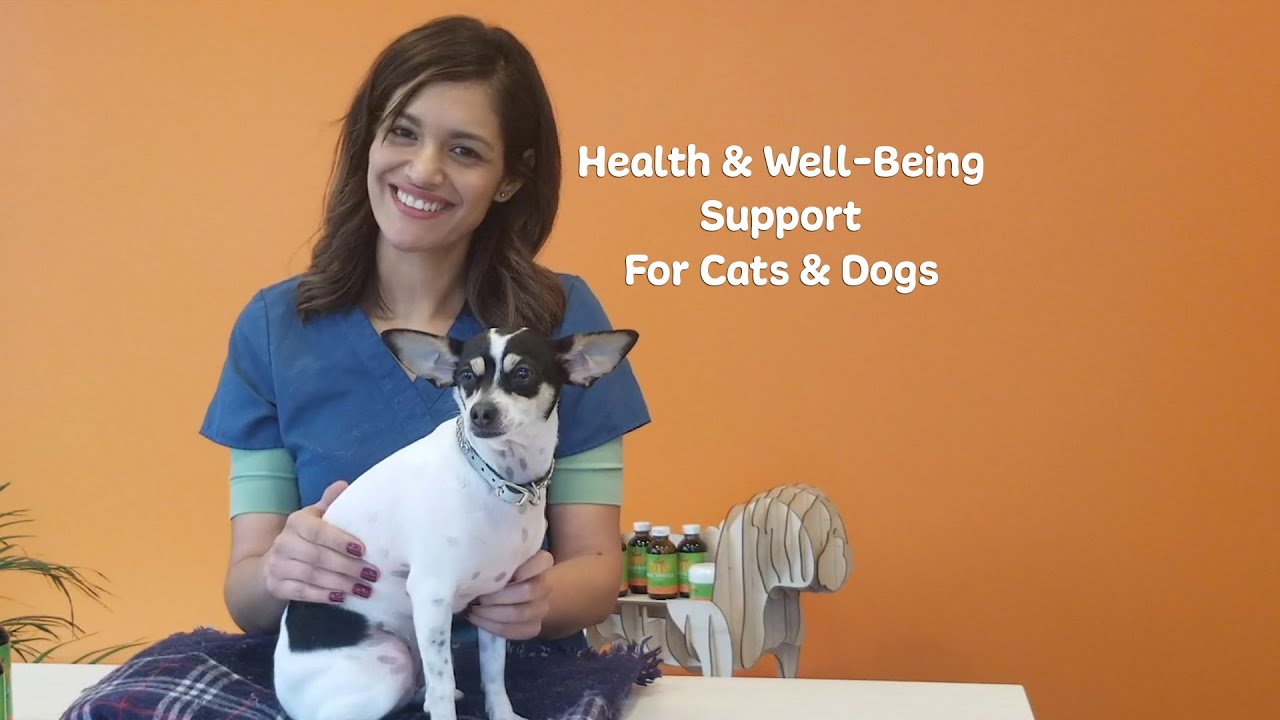 NHV PetOmega 3: Health & Well-being Support for Cats & Dogs