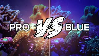 Radion G5 Pro vs Blue - What is the difference