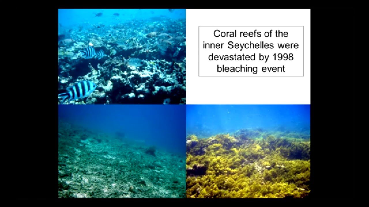 Nick Graham - Unfolding phase shifts and managing for change