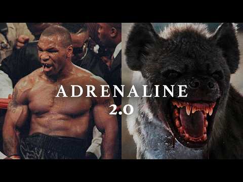 ADRENALINE 2.0 - Best Motivational Speeches
