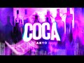 ARYO - Coca ❄️(Official Visual)