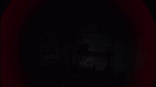 【実況テスト】バイオ7VR:その6