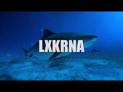 ◇O.N.L.Y O.N.E | LXKRNA REMIX (2K19)