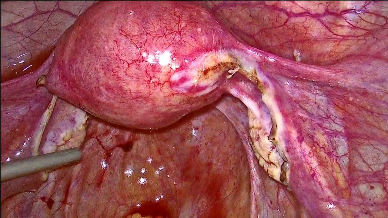 Rubèn Baltà I Arandes-6