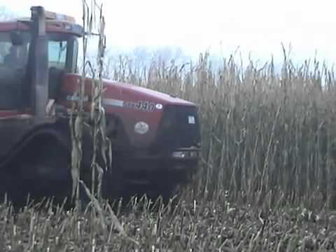 Krone Big X 1100 bei der Maisernte