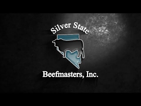 Silver State Beefmasters Private Treaty Offering