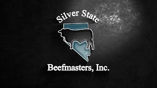 Silver State Beefmasters Private Treaty Offering