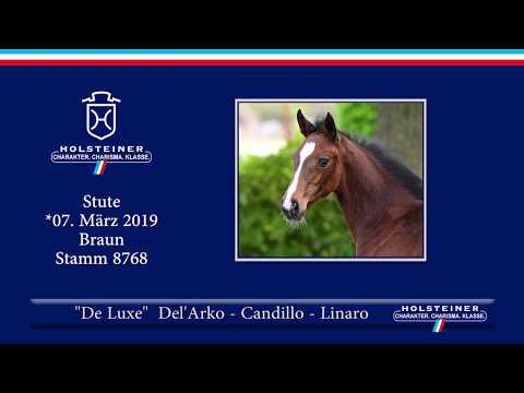 Fohlenauktion Hamburger Derby | Nr. 03 - De Luxe v. Del Arko-Candillo