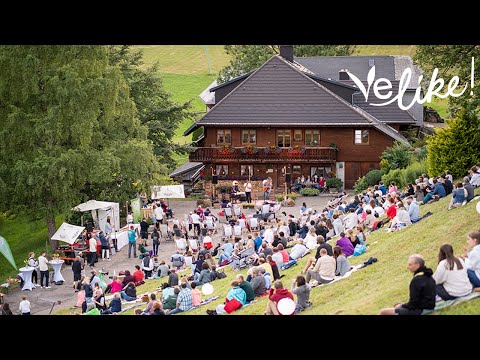 Velike! Hofkonzert mit Max Mutzke