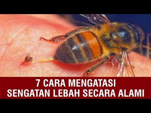 Perangkat untuk pembesaran penis buy Ukuran anggota yang dianggap kecil
