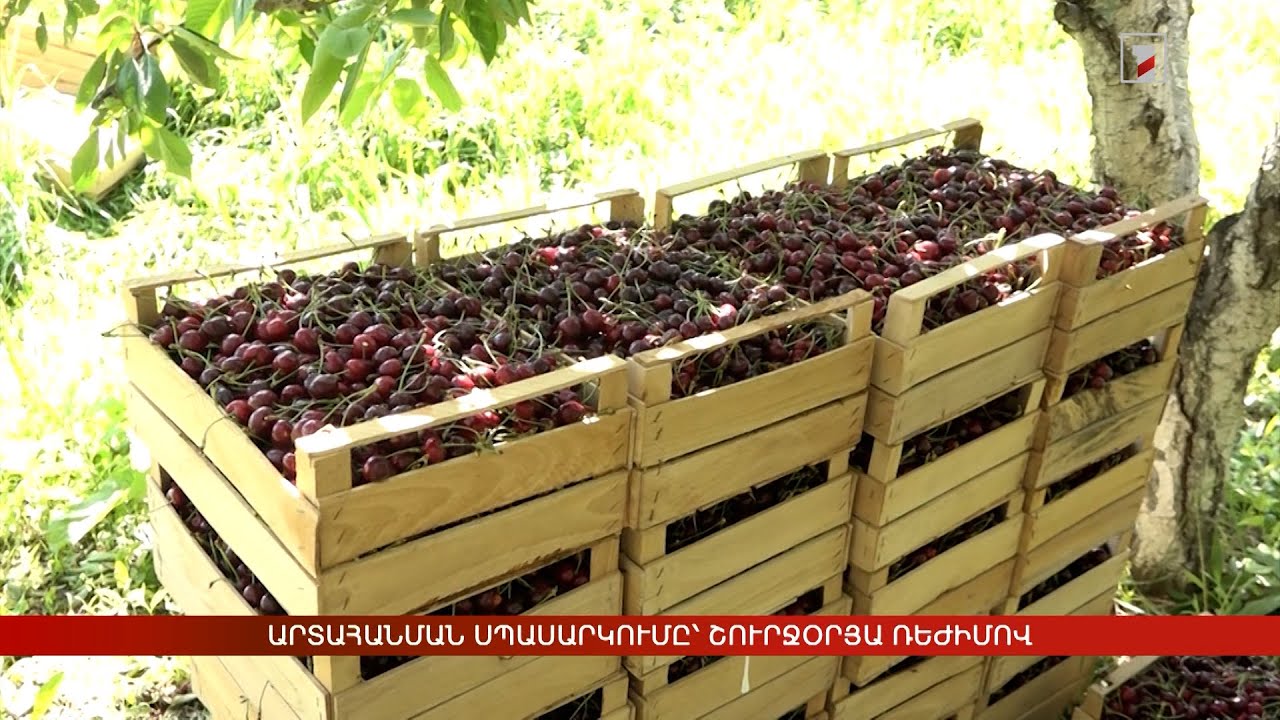 Արտահանման սպասարկումը՝ շուրջօրյա ռեժիմով