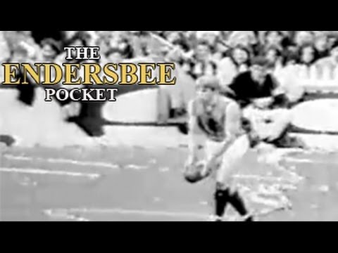 The Endersbee Pocket