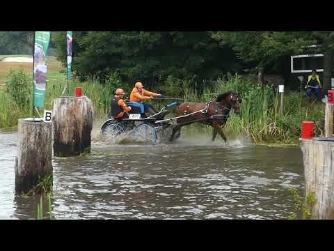 DE GROOT APON Jacqueline, NED, CAI2# Exloo, H1, Marathon Ob 2, 15 08 2020