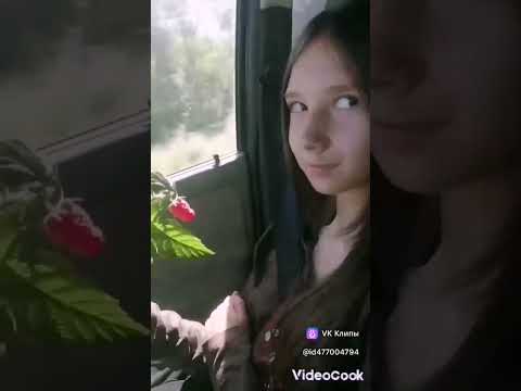 Вот так я развожу заказы. Конец августа. #саженцы #черенки #отправкапочтой #малина #ягоды#гортензии