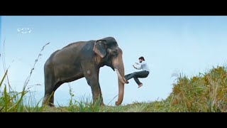 Yash Tamed Arrogant Elephant in Forest - Beautiful Scene From Gajakesari Kannada Movie