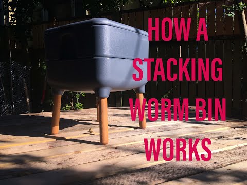 Simple and complete explanation of how a stacking worm composting bin works. Hot Frog Worm Composter