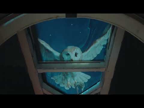 Uitgelicht aftermovie 2025 | Nederlands Openluchtmuseum