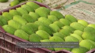 কৃষিপণ্য সংগ্রহত্তোর পরিচর্যা