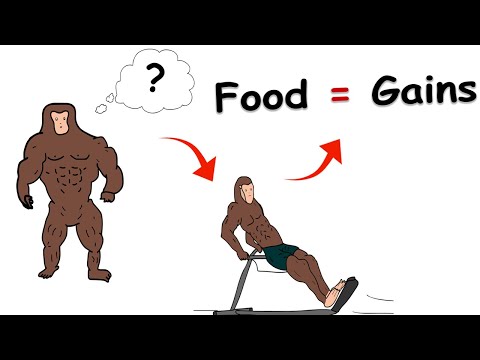 7 Superfoods to Build Muscle Fast (Monkey’s Ultimate Guide) || #2danimation #motivationalvideo