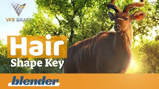 Hair Shape Key video thumbnail