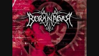 Borknagar-Revolt.wmv