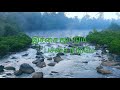Pachai Nirame Instrumental With Lyrics