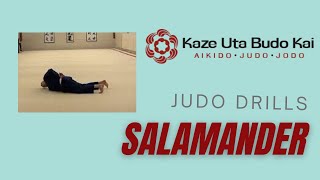 Salamander