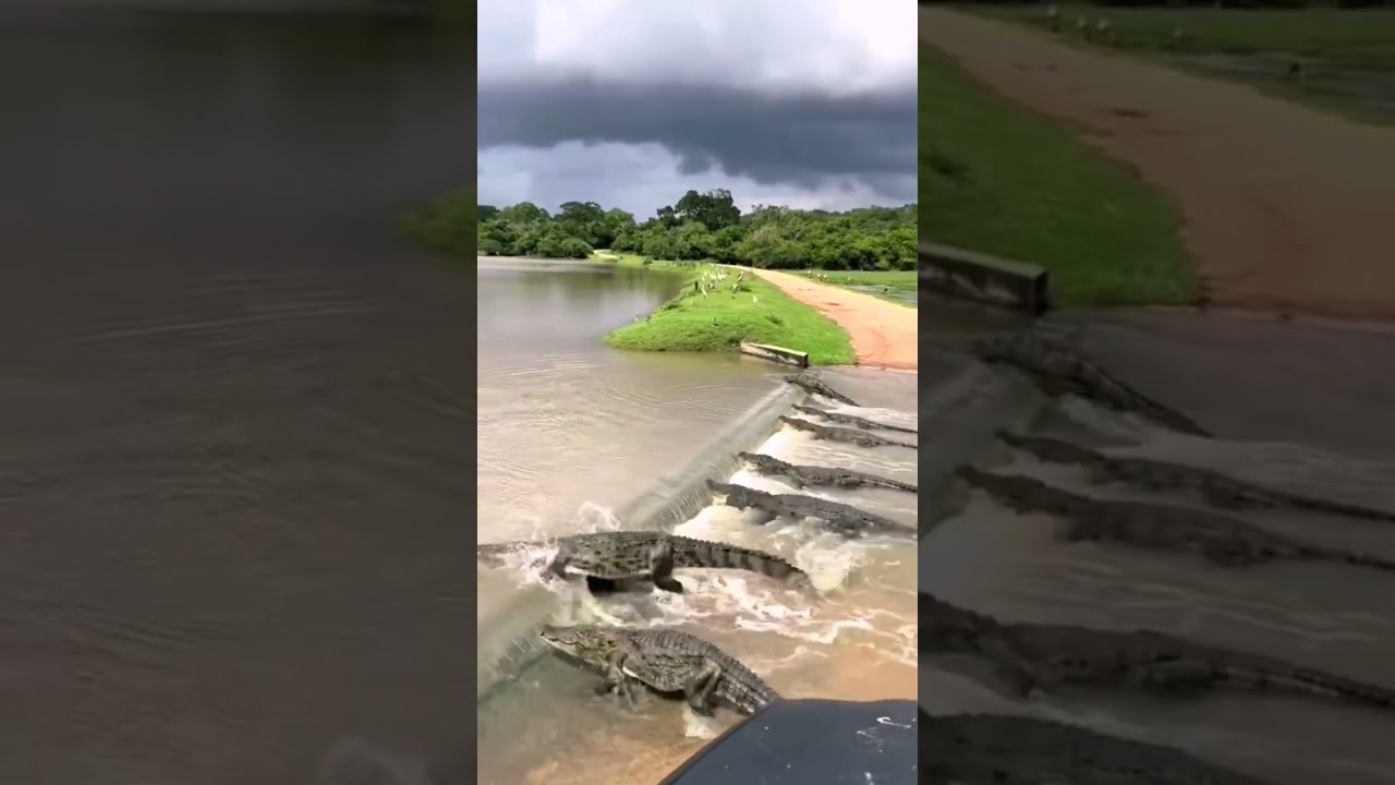 YouTube Short thumbnail