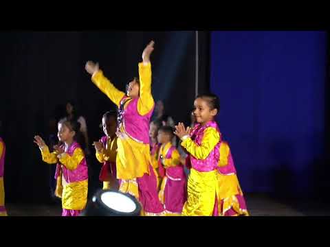 Dsc public school Annual Function 2025