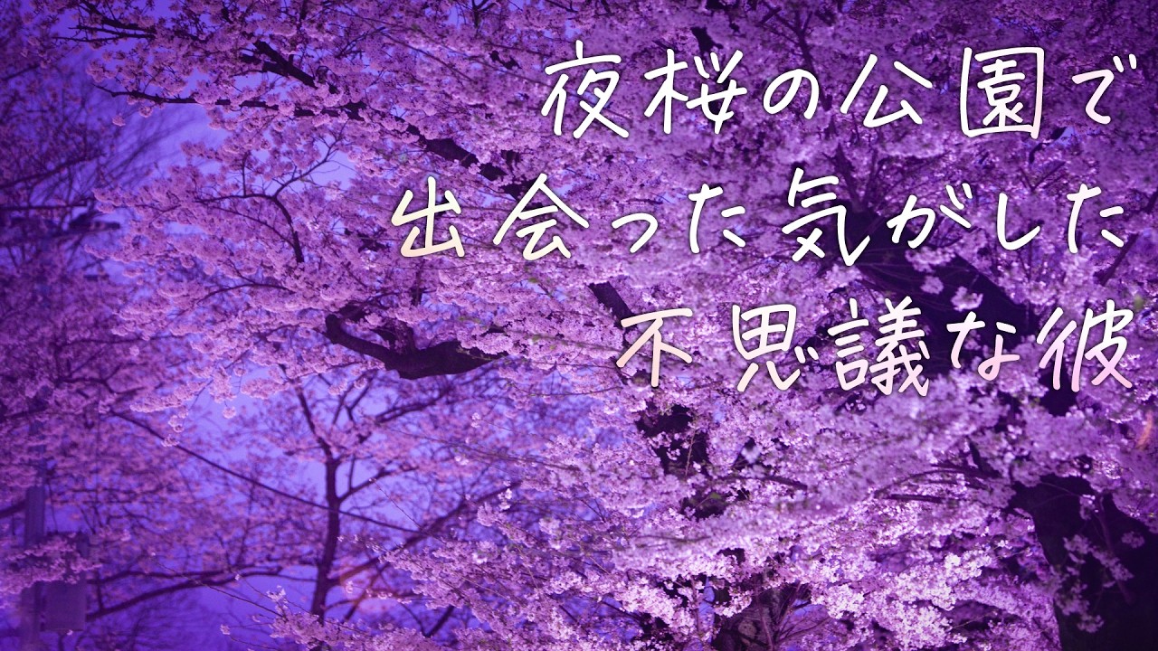 【女性向け】夜桜の公園で出会った気がした不思議な彼【シチュエーションボイス】