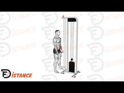 Exercice Curl de poignet debout à la poulie