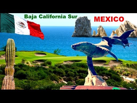 El Oasis del Desierto: Estado de Baja California Sur, Mexico