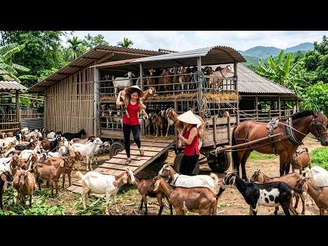 1000+ Goats Delivered to Market with Horse Cart | Huge Piglet Purchase for Farm Life