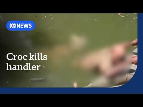 Keeper at wildlife park killed by salt water crocodile in PNG | ABC NEWS