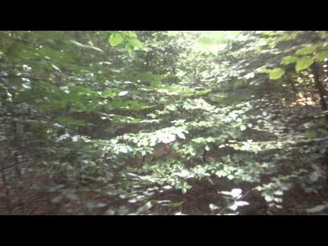 Linia kolejowa 229 pozostalosci 2/5