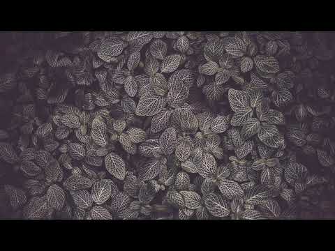 Clap Cotton - Vinho Verde