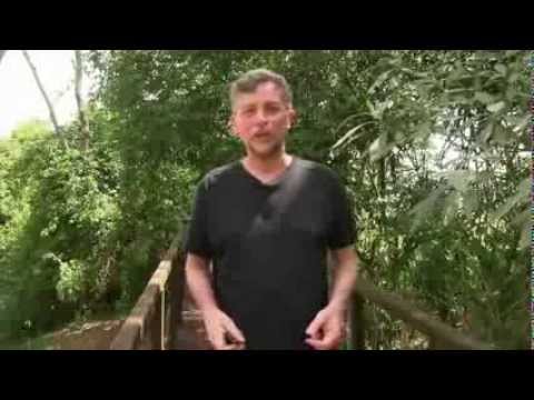 Fatores espirituais - Amparadores espirituais