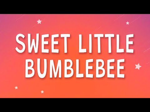 Bambee - Sweet little bumblebee (Bumble Bee) (Sped Up) (Lyrics)