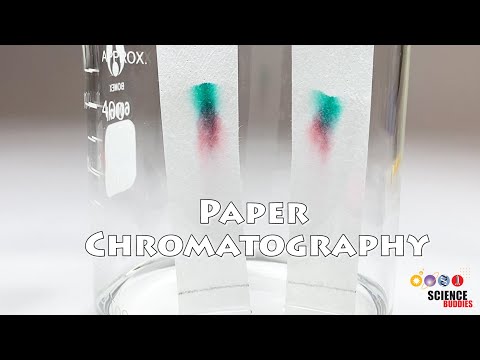 Paper Chromatography | Science Project