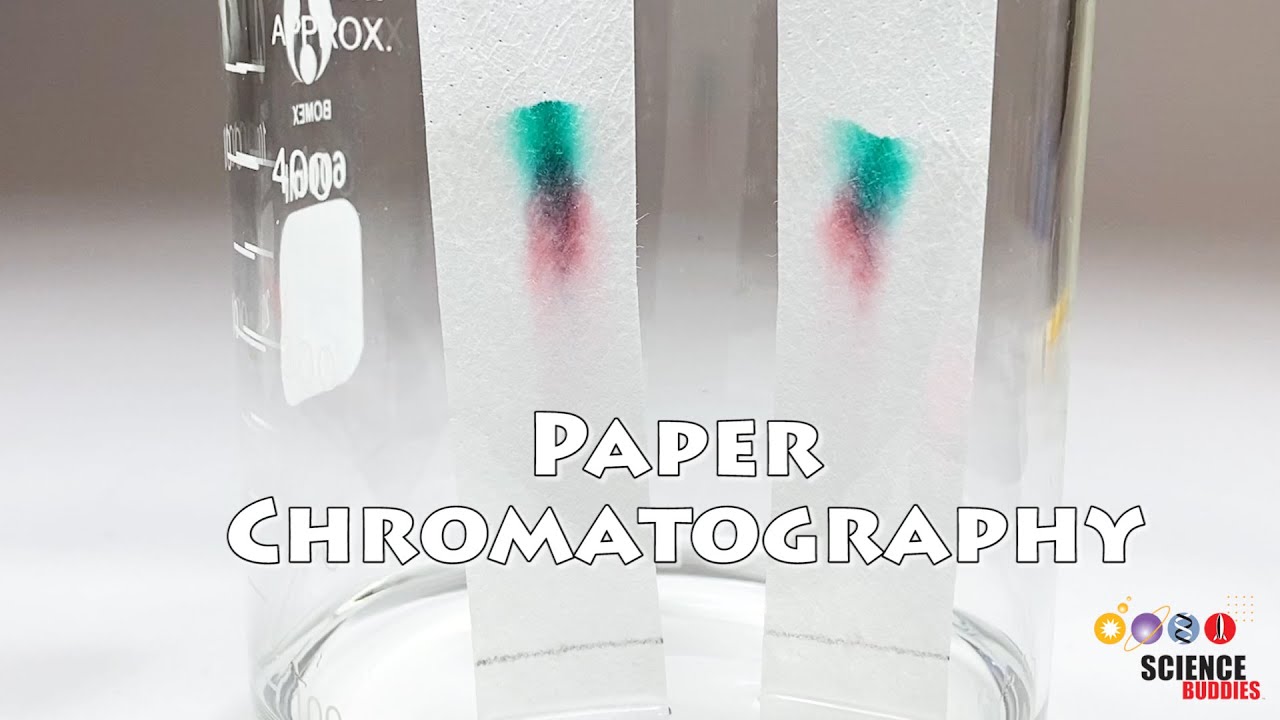Paper Chromatography | Science Project