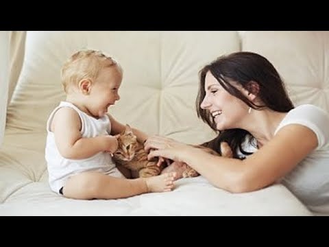 Funny And Cute Cats And Dogs Jealous Of Babies Compilation