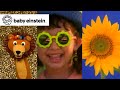 Baby Newton Baby Einstein Classics Learning Show For Toddlers Kids Cartoons