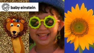 Baby Newton | Baby Einstein Classics | Learning Show for Toddlers | Kids Cartoons