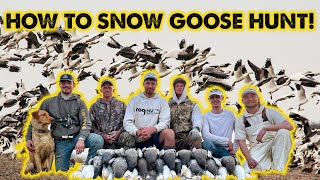 How to Snow Goose Hunt! - A Beginner's Guide (Decoys for SALE)