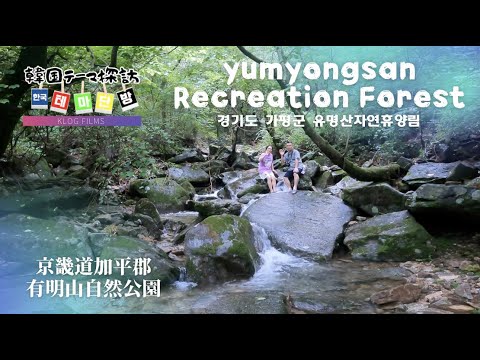 Exploração temática coreana vol.024・Parque Natural Gyeonggi-do Gapyeong-gun Arimyeongsan #Turismo coreano #Gapyeong #Vlog da Coreia #Exploração temática coreana #klog