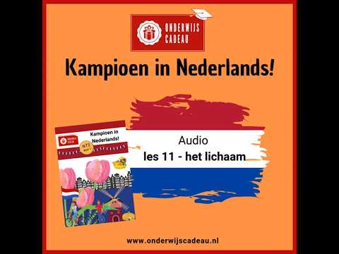 Het lichaam – Woordenschat NT2 Les 11 | Kampioen in Nederlands! Deel 1