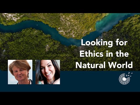 Looking for Ethics in the Natural World